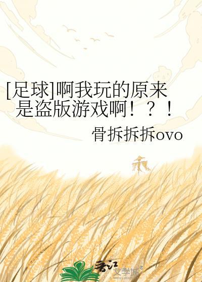 [足球]啊我玩的原来是盗版游戏啊！？！